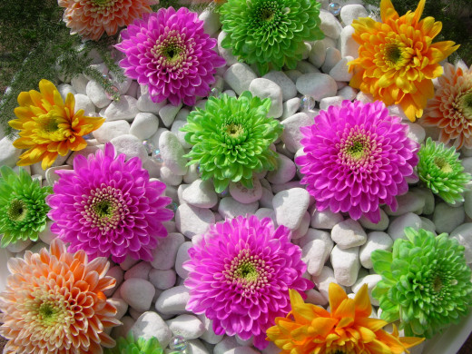 424309 (a): :1600x1200